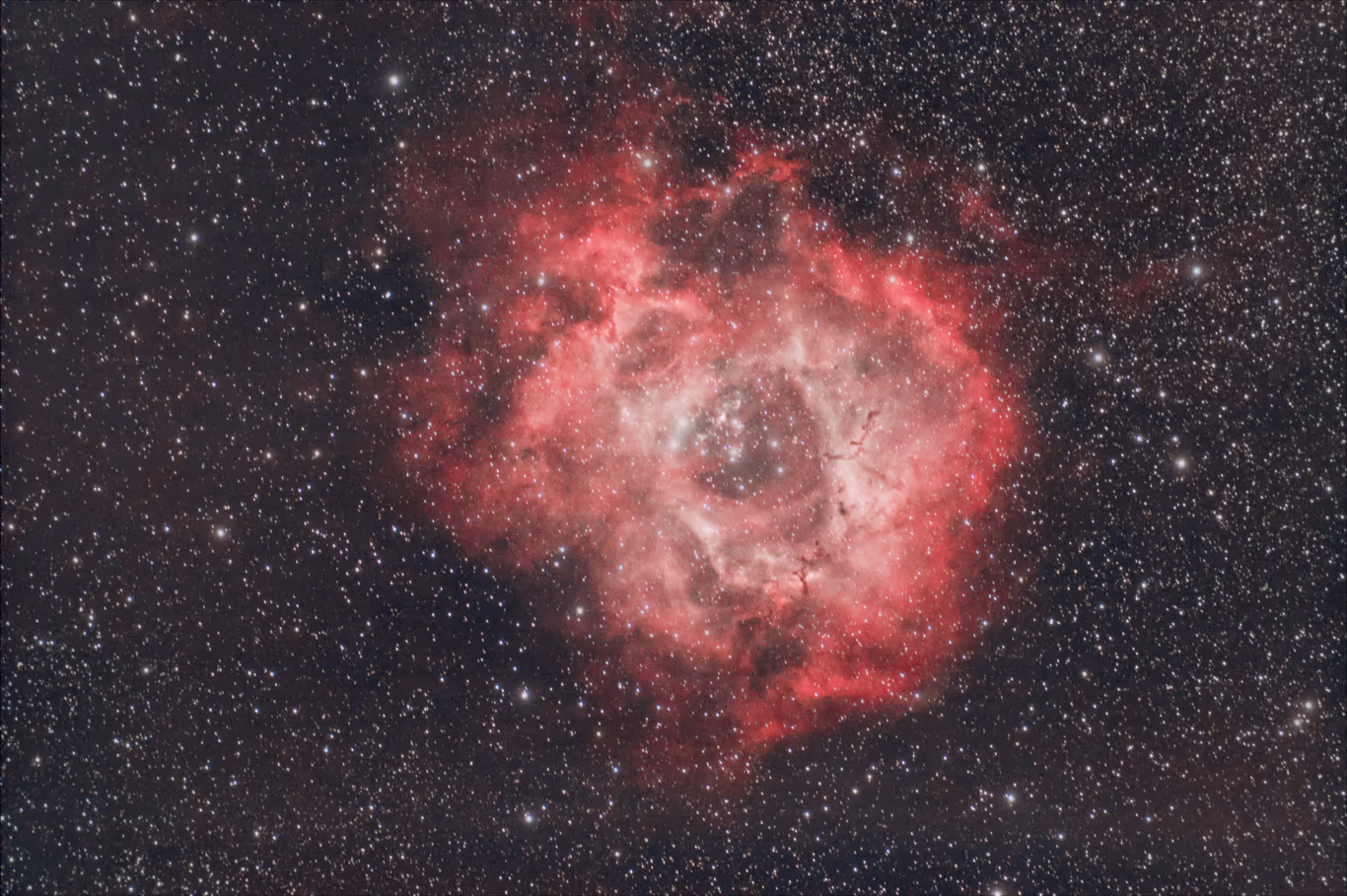 Rosette Nebula